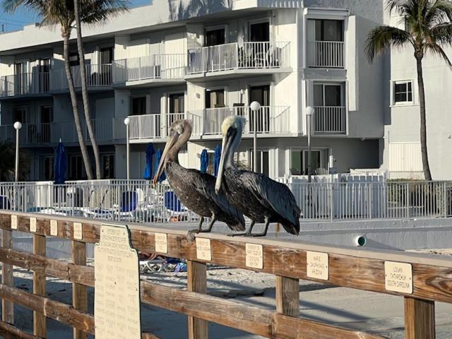 Casa Clara Condos Key Colony Beach Exterior photo